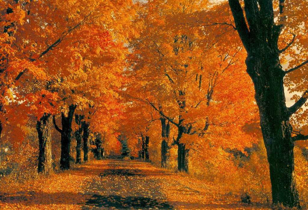 Ecco dove andare in vacanza a novembre (Europa)