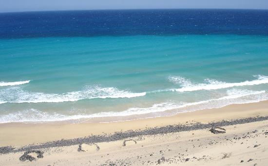 spiagge di Fuerteventura