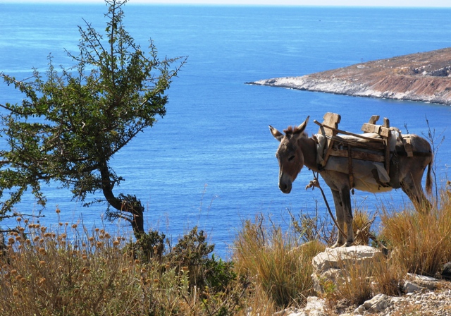 traghetti per l'Albania