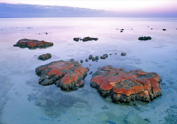 tour operator Australia