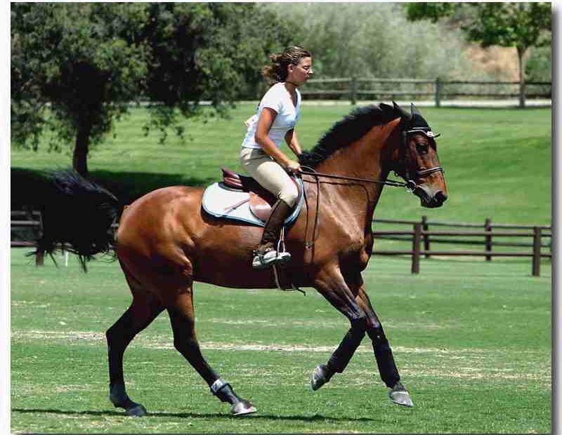 Consigli per svolgere attivita' in vacanza