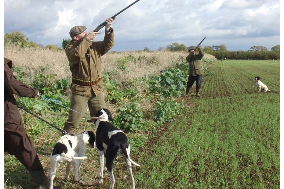 Ecco come ottenere il porto d'armi per la caccia