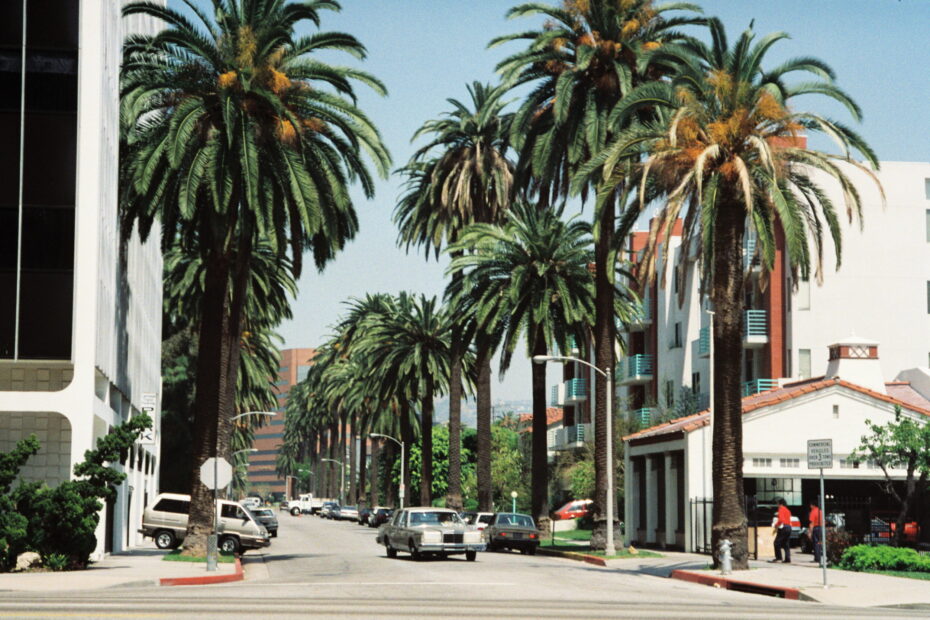 I migliori posti dove alloggiare a Los Angeles
