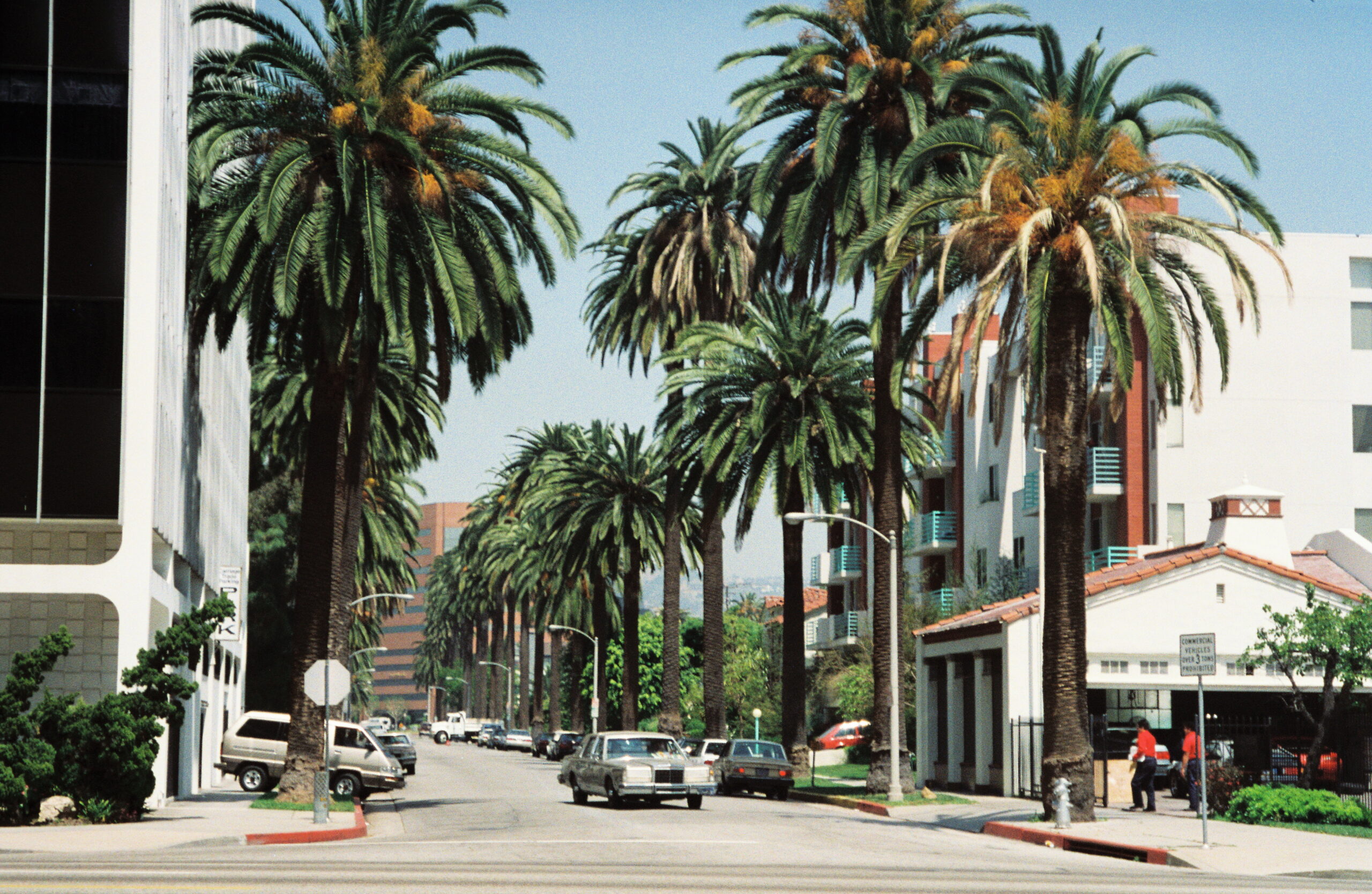 I migliori posti dove alloggiare a Los Angeles