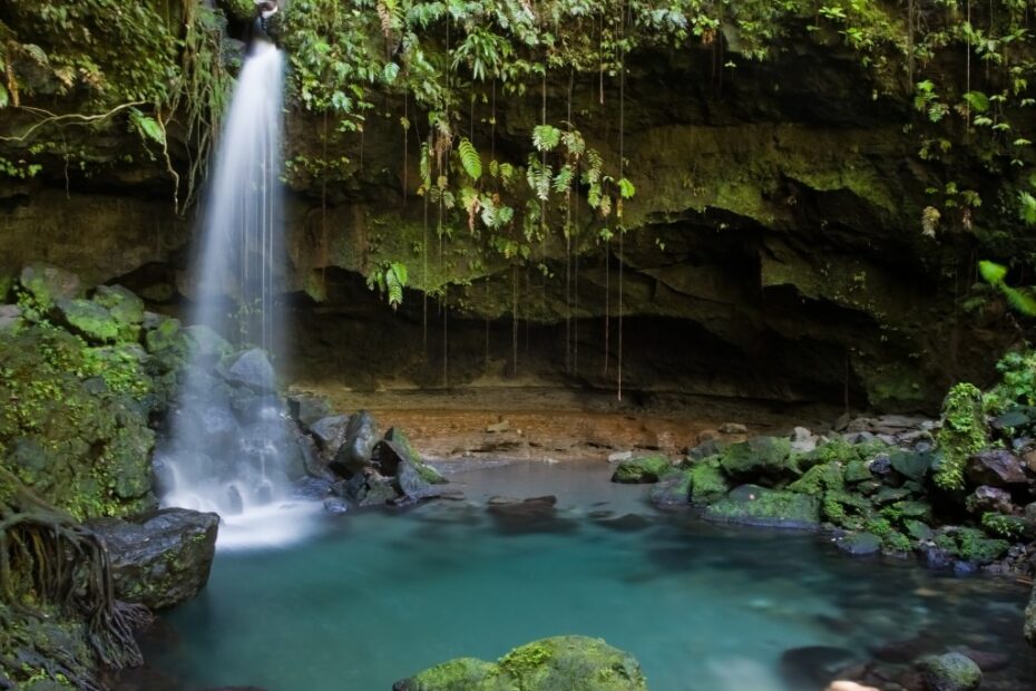 Come vivere con 350 euro al mese