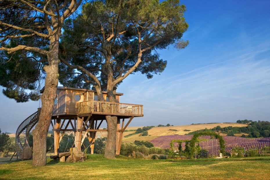 La casa sull'albero a Viterbo