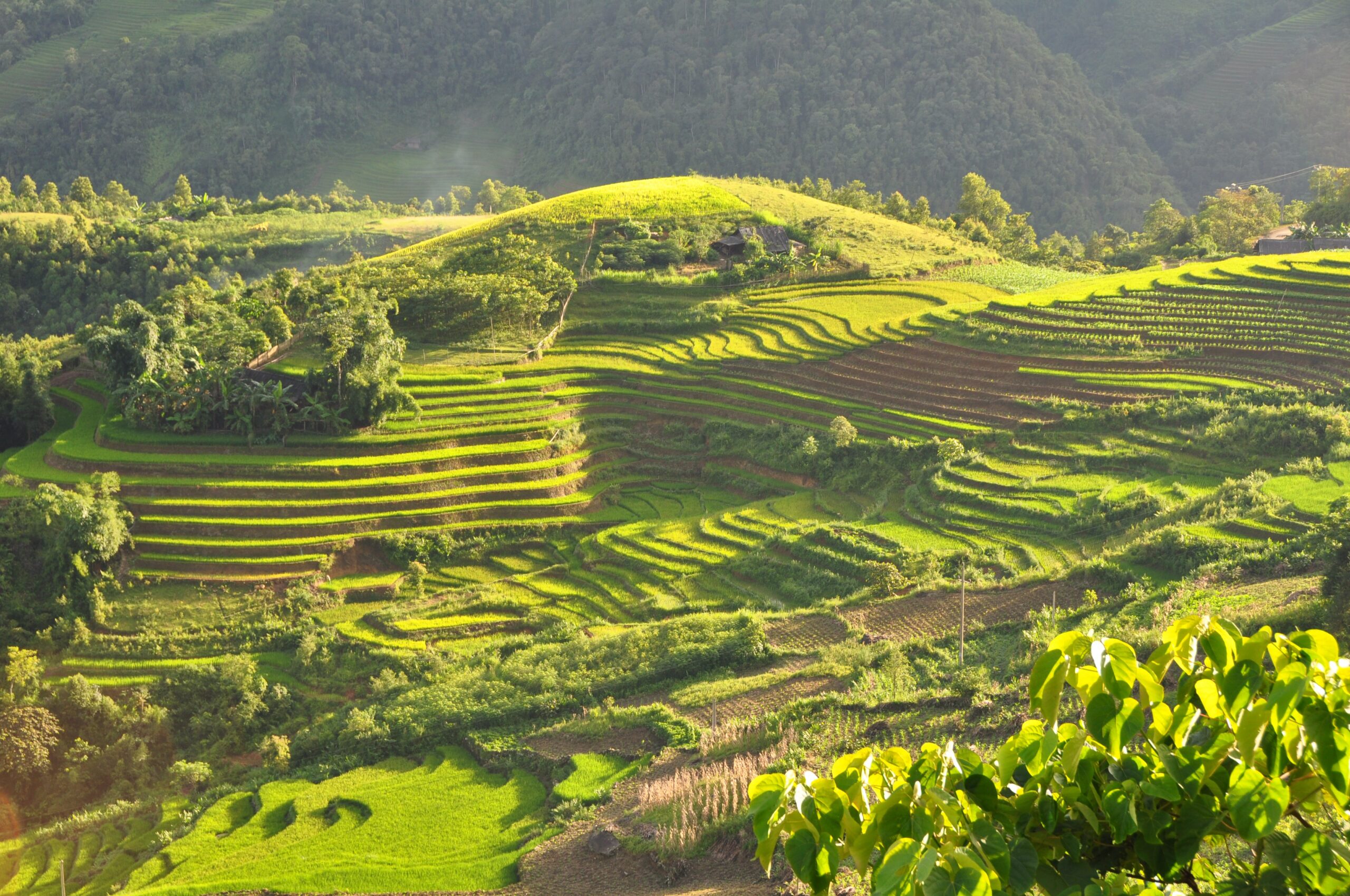 Dritte e consigli per viaggi in Vietnam