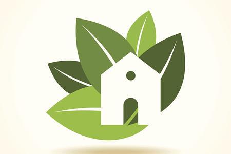 Idee per innaffiare le piante in vacanza